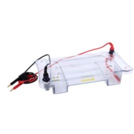 Horizontal Electrophoresis