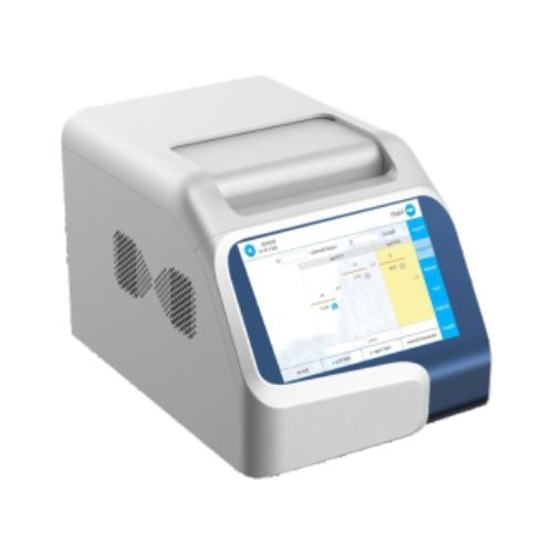 Real-Time RT PCR