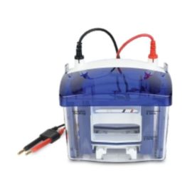 Vertical Electrophoresis